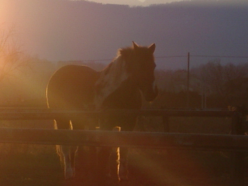Controluce...